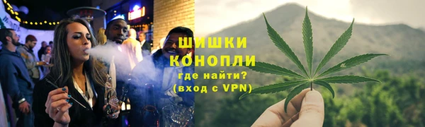 бошки Аркадак