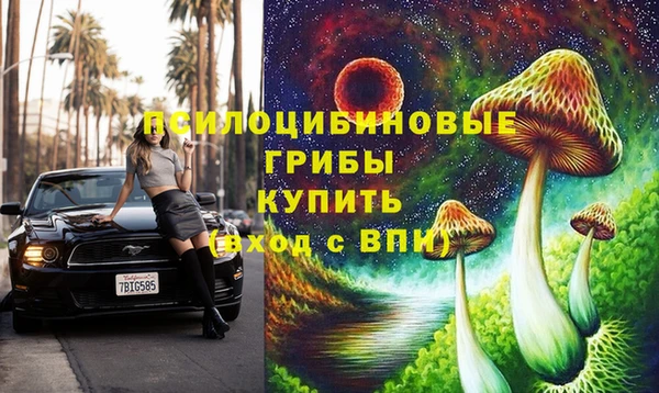 амф Покров